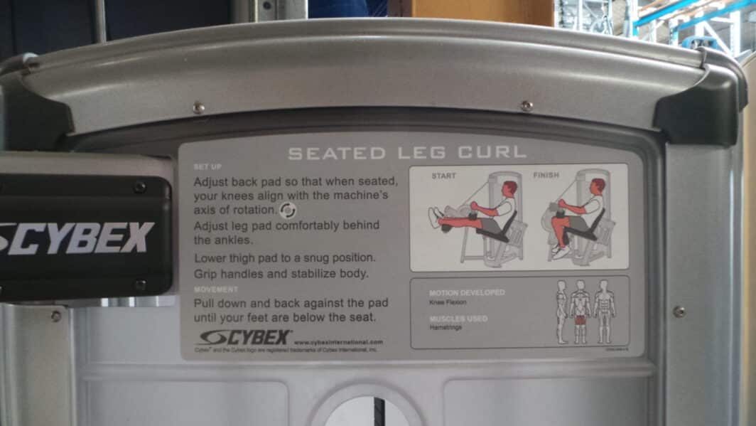 Cybex Seated Leg Curl infographic