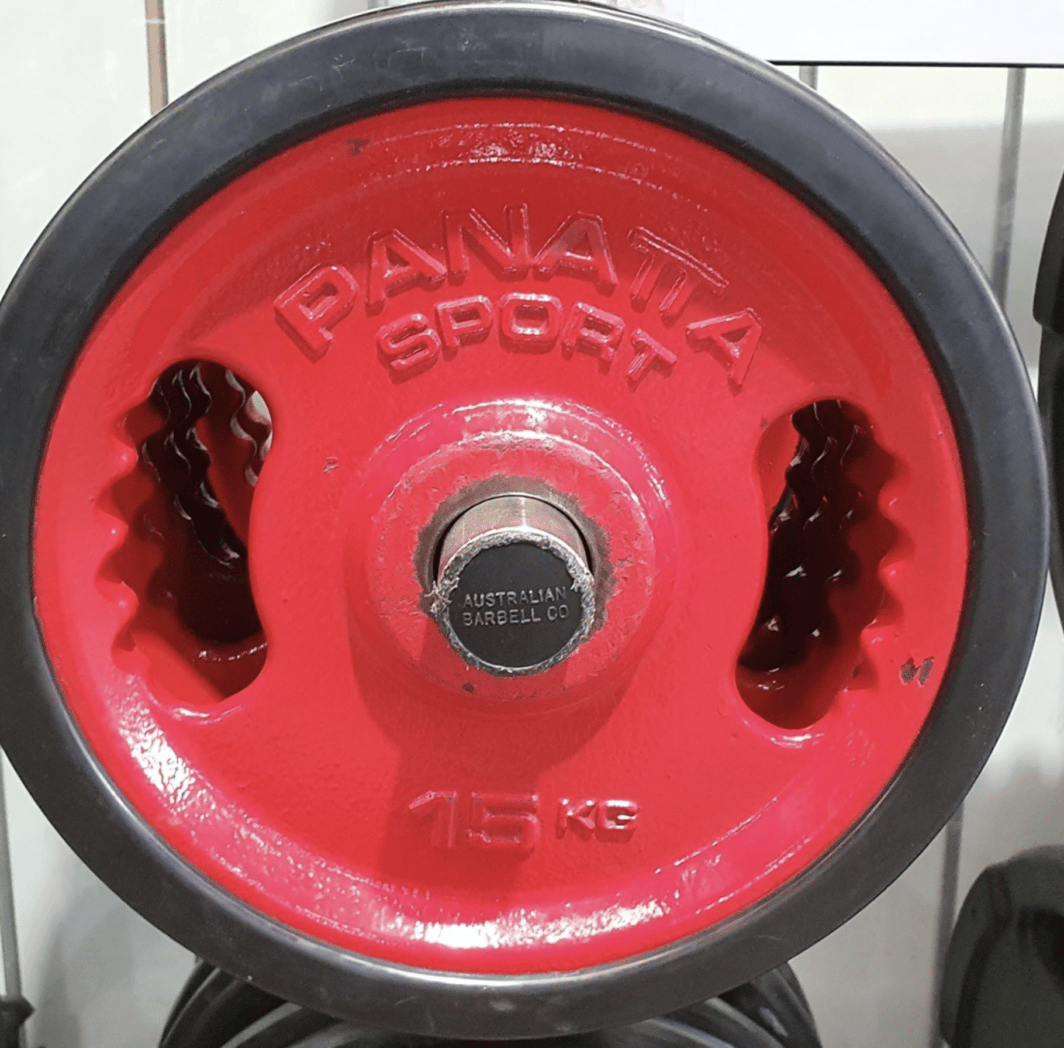 Panatta 20kg Weight Plates used gym equipment