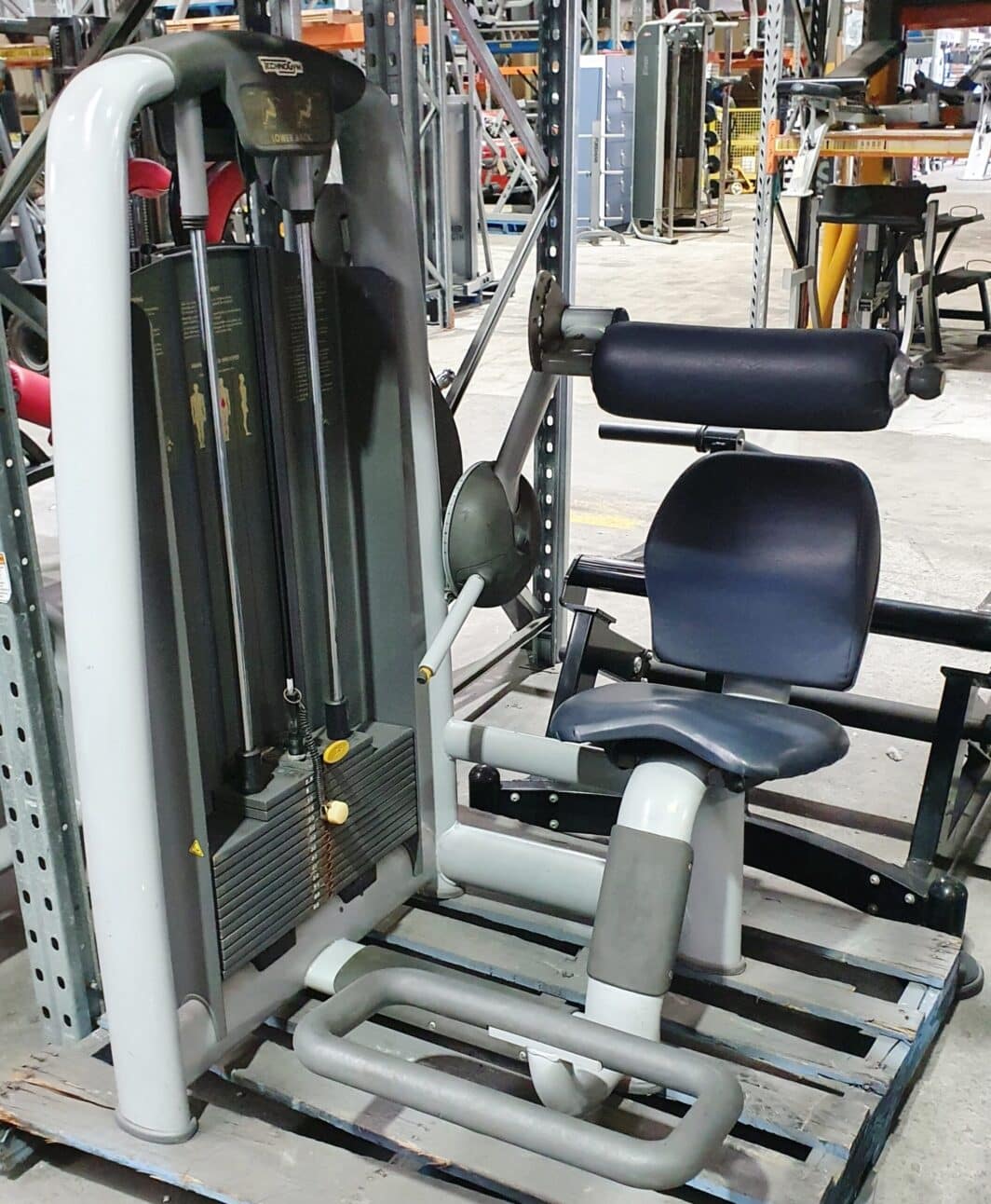 Technogym Selection Series Lower Back used gym equipment